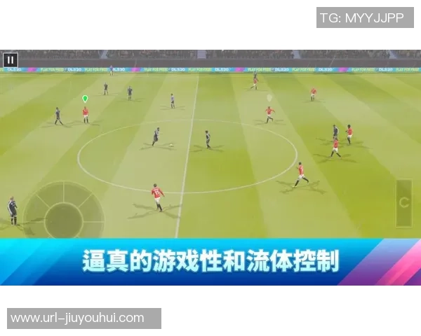 探索足球的定义与特征揭示什么样的球才是真正的足球